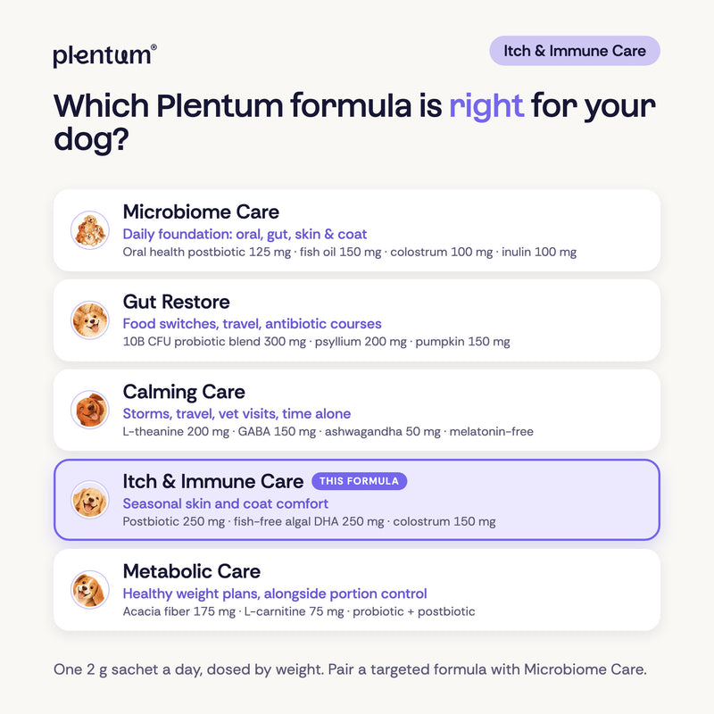 Plentum formula guide, Itch & Immune Care highlighted. Microbiome Care, daily foundation: oral health postbiotic 125 mg, fish oil 150 mg, colostrum 100 mg, inulin 100 mg. Gut Restore, gut support: 10B CFU probiotic blend 300 mg, psyllium 200 mg, pumpkin 150 mg. Calming Care, melatonin-free: L-theanine 200 mg, GABA 150 mg, ashwagandha 50 mg. Itch & Immune Care, skin and coat: postbiotic 250 mg, algal DHA 250 mg, colostrum 150 mg. Metabolic Care, healthy weight: acacia fiber 175 mg, L-carnitine 75 mg.