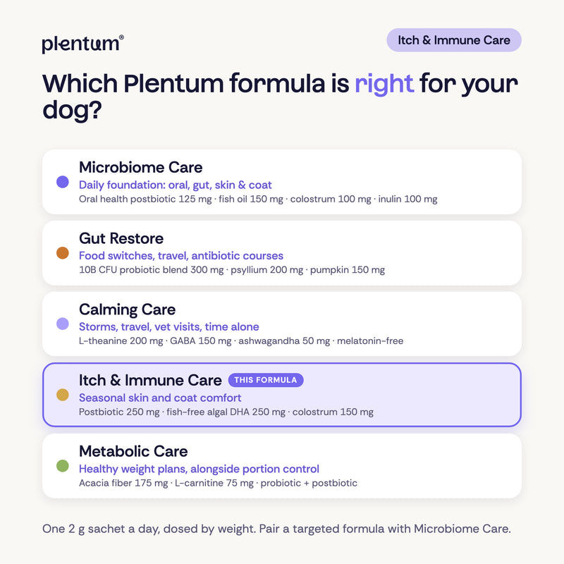 Plentum formula guide, Itch & Immune Care highlighted. Microbiome Care, daily foundation: oral health postbiotic 125 mg, fish oil 150 mg, colostrum 100 mg, inulin 100 mg. Gut Restore, gut support: 10B CFU probiotic blend 300 mg, psyllium 200 mg, pumpkin 150 mg. Calming Care, melatonin-free: L-theanine 200 mg, GABA 150 mg, ashwagandha 50 mg. Itch & Immune Care, skin and coat: postbiotic 250 mg, algal DHA 250 mg, colostrum 150 mg. Metabolic Care, healthy weight: acacia fiber 175 mg, L-carnitine 75 mg.