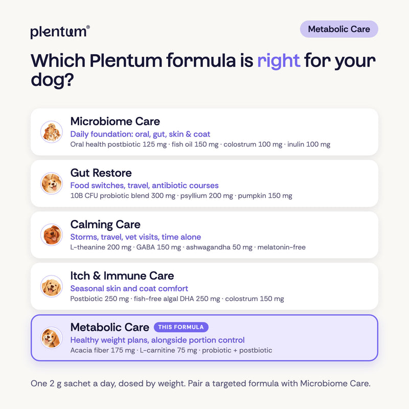 Plentum formula guide, Metabolic Care highlighted. Microbiome Care, daily foundation: oral health postbiotic 125 mg, fish oil 150 mg, colostrum 100 mg, inulin 100 mg. Gut Restore, gut support: 10B CFU probiotic blend 300 mg, psyllium 200 mg, pumpkin 150 mg. Calming Care, melatonin-free: L-theanine 200 mg, GABA 150 mg, ashwagandha 50 mg. Itch & Immune Care, skin and coat: postbiotic 250 mg, algal DHA 250 mg, colostrum 150 mg. Metabolic Care, healthy weight: acacia fiber 175 mg, L-carnitine 75 mg.