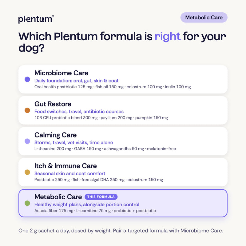 Plentum formula guide, Metabolic Care highlighted. Microbiome Care, daily foundation: oral health postbiotic 125 mg, fish oil 150 mg, colostrum 100 mg, inulin 100 mg. Gut Restore, gut support: 10B CFU probiotic blend 300 mg, psyllium 200 mg, pumpkin 150 mg. Calming Care, melatonin-free: L-theanine 200 mg, GABA 150 mg, ashwagandha 50 mg. Itch & Immune Care, skin and coat: postbiotic 250 mg, algal DHA 250 mg, colostrum 150 mg. Metabolic Care, healthy weight: acacia fiber 175 mg, L-carnitine 75 mg.
