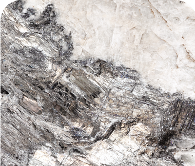 zinc methionine for dogs