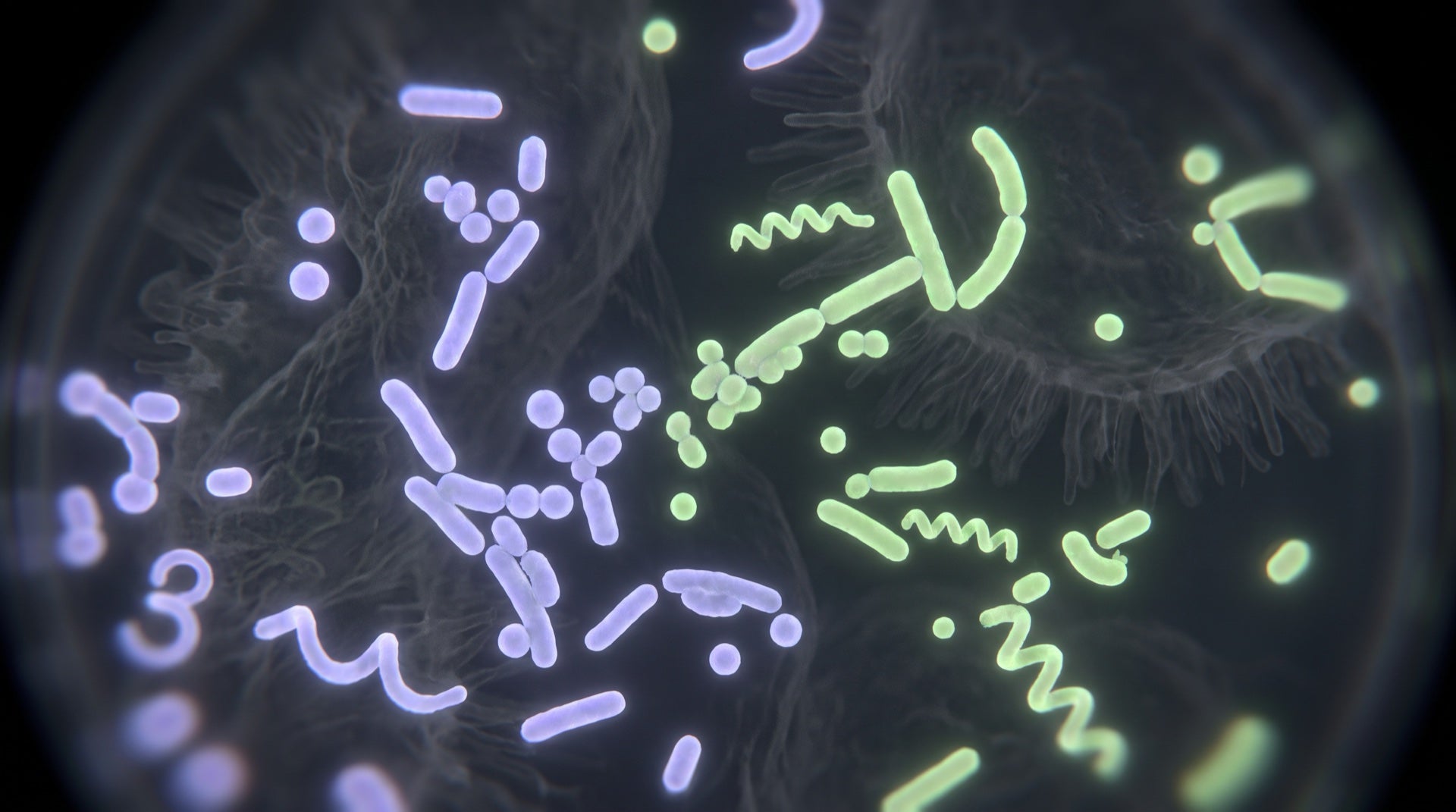 The Rise of Natural Dog Supplements - gut microbiome science overview